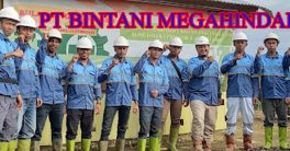 PT BINTANI MEGAHINDAH