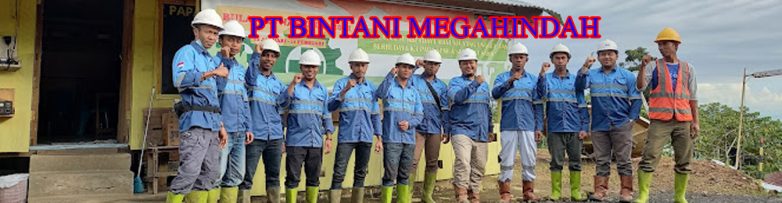 PT BINTANI MEGAHINDAH