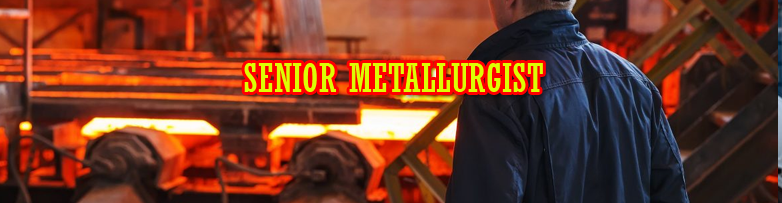 SENIOR METALLURGIST